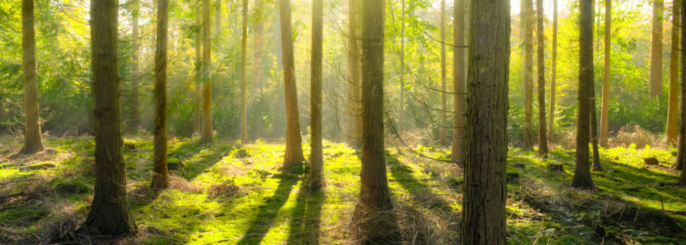 Ohio Land Loans, Lot loans, Hunting Land in Ohio